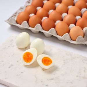 HACCP 인증시설 국내산 계림농장 짜지않고 부드러운 반숙란 20구 외