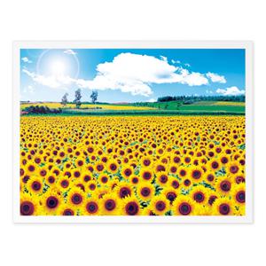풍경 해바라기 들판 4 퍼즐 슬림 액자 세트 500P PL881