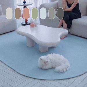 먼지없는 사계절 거실 대형 단모 생활방수 포인트 러그 타원형(7color/14size)