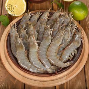 신안 활 생새우 500g 18미 내외, 1kg 35미내외