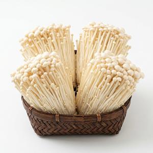 산지직송 국내산 팽이버섯 특품 벌크
