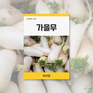 가을무 씨앗 300립 뿌리채소 씨앗 새싹 키우기