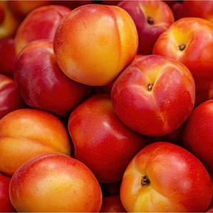 새콤달콤 자두 3kg 외 사이즈 별 골라담기