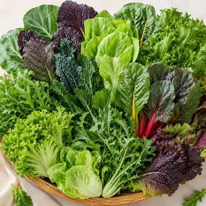 국내산 모듬 쌈채소 랜덤 500g 1kg 쌈밥 샐러드용 보냉포장