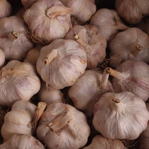 의성 마늘 대서종 2KG/4KG 골라담기