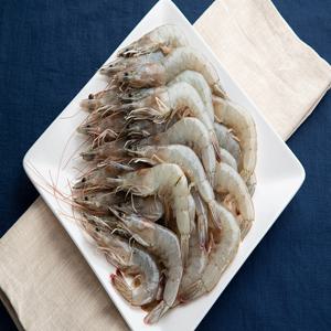 26년 첫 산지직송 신안 활흰다리새우 500g/1kg