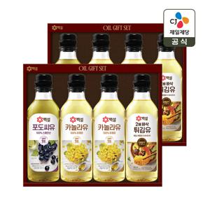 CJ 선물세트 백설 프리미엄 17호 2개 쇼핑백포함