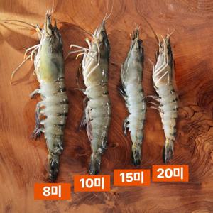 블랙타이거 새우 500g (8미)