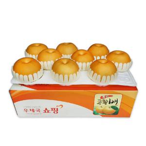 나주 봉황배 선물세트 (안심포장) 5kg (9-10과)