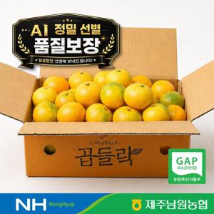 [농협] 제주 남원농협 당도선별 하우스 감귤