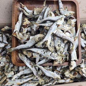 국내산 햇 청어멸치 1.5kg 정어리 솔치 국물용멸치 육수용 멸치