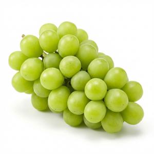 [산지직송] 국내산 경북 샤인머스캣 1kg 씨없는 제철 망고향 포도