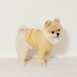 강아지 가을옷 우드 버튼 티셔츠 S-2XL, 3 colors