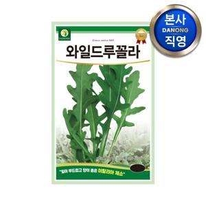 와일드 루꼴라 씨앗 3000립 . 로켓샐러드 루콜라 이탈리아 토핑 채소 씨 종자