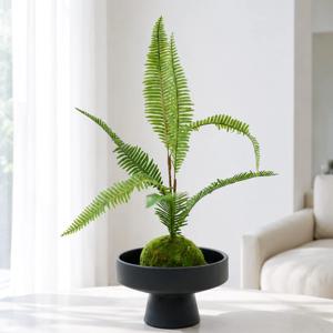 소철잎 조화 이끼볼 수반 화분 set 23x35cm 인테리어 식물 조경 장식