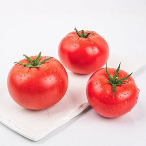 (대전신세계)국산 완숙토마토 찰토마토 대과 5kg