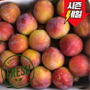 새콤달콤 국내산 후무사 자두 여름 제철 햇자두 1kg(중상size/14과내외)