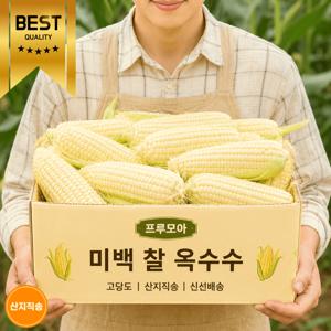 TEMU [쫀득달콤]강원도 미백 찰옥수수 상품 5+5, 14cm 이하