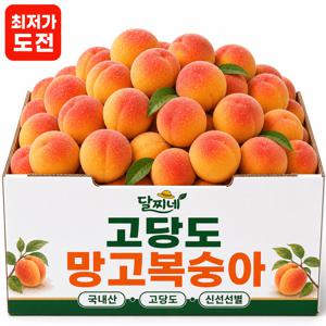 TEMU 달콤함이 남다른 진한 노란 과육 과즙 팡팡! 경산 망고복숭아 990g (6-9과내외)