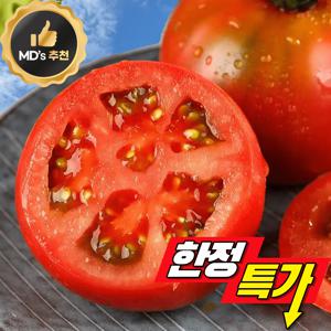 TEMU [품질보증] 국내산 완숙토마토 찰토마토 5kg