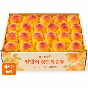 TEMU [산지직송] 말랑이 황도복숭아 1kg 당도선별 고당도 물복숭아