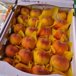 TEMU 산지직송 청도 복숭아 백도 황도 소과 750g