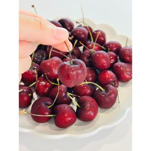 TEMU 프리미엄 고당도 생체리 300g