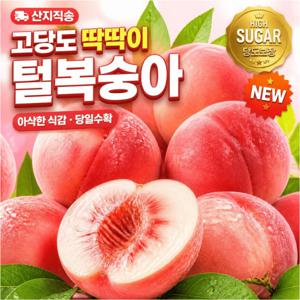 TEMU [산지직송] 고당도 특품 프리미엄 딱딱이 백도 복숭아 랜덤과 5kg