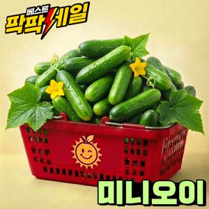 TEMU 스낵처럼 즐기는 아삭아삭 오이 미니오이 1.51kg내외