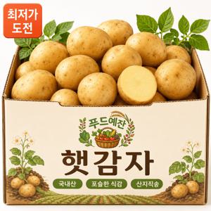 TEMU [오늘특가]국내산 햇 감자 제철 감자 포슬포슬 알감자 대용량 햇감자 5kg내외 (중)