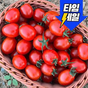 TEMU [하루딱30박스] 대추방울 토마토 1-3번 다마 990g