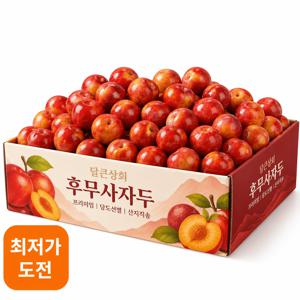 [당일수확] 프리미엄 아삭 후무사자두 999g 진한과즙 여름과일