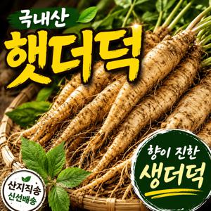 TEMU 국내산 더덕 생더덕 구이용 무침용 신선채소