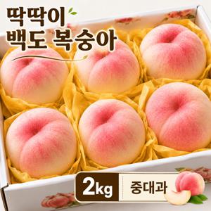 [최저가도전] 아삭달콤 고당도 딱딱이 백도 2kg 중대과