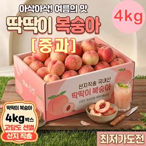 TEMU [100박스한정] 국내산 고당도 아삭달달 딱딱이 복숭아 3.9kg+0.1kg / 산지직송 제철 백도