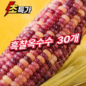 TEMU 꿀맛보장 흑찰옥수수 30개입