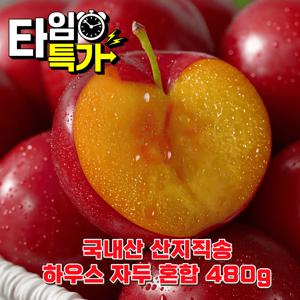 TEMU 알짜만 골라낸 신선한 국내산 노지 자두 혼합 940g 산지직송