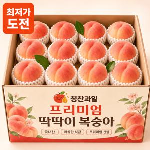 [하루특가] 프리미엄 아삭한 딱딱이 복숭아 900g