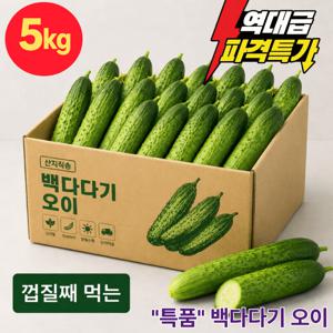 TEMU [파격할인] 한정판매 , 껍질째 먹는 백다다기오이 5kg 22과내외