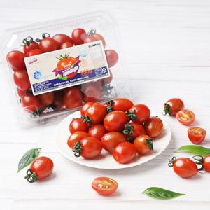 토망고 스테비아 방울토마토 500g 1팩