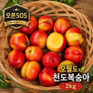 TEMU [농가SOS] 새콤달콤 오월도 천도복숭아 2kg(32과)