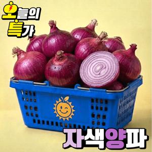 TEMU 국내산 햇 자색양파 적양파 자색양파 2.1kg