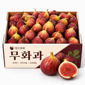 [새벽수확] 26년 수확 영암 홍무화과 무화과 490g