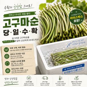 TEMU 국내산 고구마순 고구마줄기 신선 손질