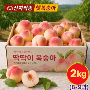 [산지직송] 경북 딱딱이 복숭아 14brix 산지직송 아삭한식감 당도최고, 1박스, 딱딱이 복숭아 중대과 2kg (8-9과)