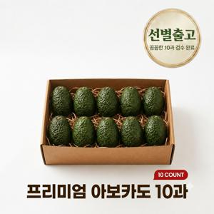 TEMU 선별출고 아보카도 생과 중과 5과/10과/15과
