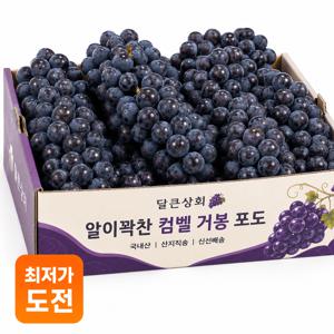TEMU [새벽수확] 프리미엄 진한 거봉 499g 달콤과즙 여름포도