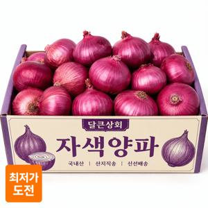 TEMU [산지직송] 자색양파 1kg(1,000g) 중사이즈 적양파 아삭한 국내산 홍양파