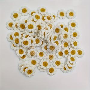 데이지 천 스티커 20개, 의류, 신발, 가방, 핸드메이드 DIY 장식 소품, 자수, 귀걸이 재료, 의류 액세서리