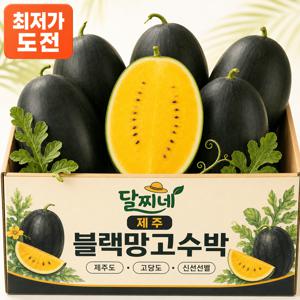 [오늘제철특가] 프리미엄 고당도 제주 블랙망고수박 2.5kg 1수